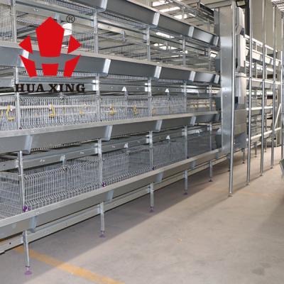 China Broiler 96 Birds 3 Tier Layer Cages With Automatic Feeding System for sale