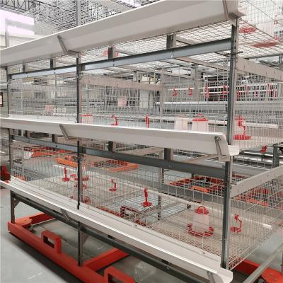 China H Type Broiler Chicken Cage Design With Feeding System , Drinking System for sale