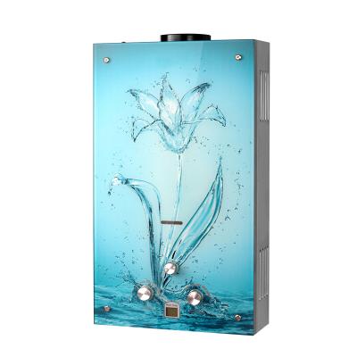 China Hotel Gas Water Heater Water Heater Price for sale