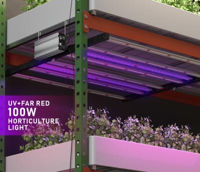 China Seed Starting Hot Selling Hydroponic Growing System 630W Led High PPFD Led Grow Lights For Indoor Plant for sale