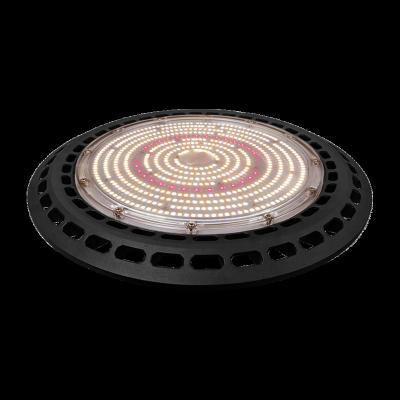 China High Performance 300W Seed Starting UFO LED Grow Light For Vertical Agriculture for sale