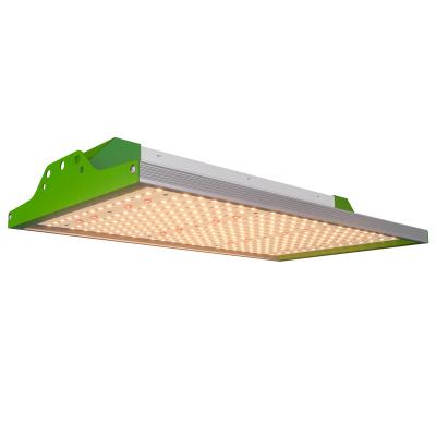 China Seed Starting 100w 200w 400W Hongyi Board Led Horticulture Grow Lights for sale