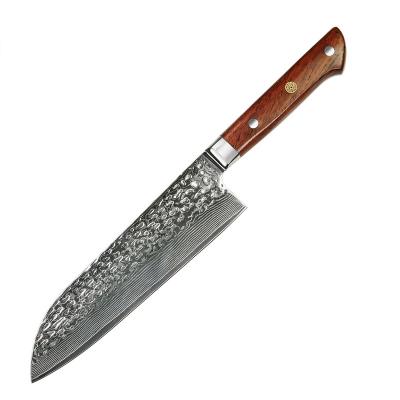 China Chen Chu Ji Damascus Santoku Damascus Kitchen Knife Disposable Japanese Damascus Knife for sale