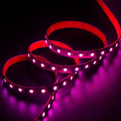 China Hotel 5 in 1 DC 12V/24V 5m Roll RGBWW 5050 LED Strip Light Outdoor Flexible CCT Changing LED Strip With Remote for sale