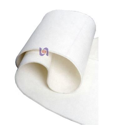 China Paper Industry Good Quality Felt For Paper Making Machinery With Competitive Price for sale