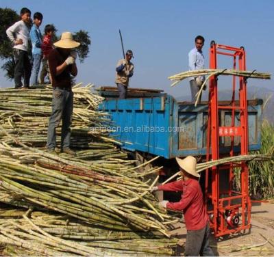 China Take out sugarcane lifter mini sugar cane machine sugar cane lifting transfer machine in philippines for sale