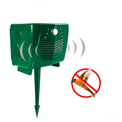 China Viable Waterproof Outdoor Ultrasonic Solar Pest Animal Bird Reflector for sale