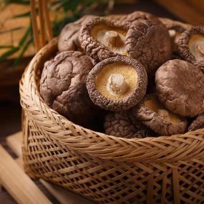 China 2500gwholesale Dried Shiitake Mushroom Flower Shiitake Mushroom High Quality Organic Dry Whole Mushroom (4-5cm) for sale