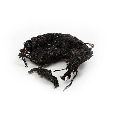 China Chinese Factory Wholesale Price 100g Dried Japanese Grilled Seaweed Sushi Dried Seaweed for sale