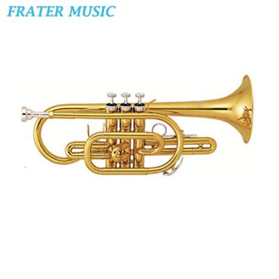 China Gold Lacquer High Quality Yellow Brass Gold Lacquer Body Bb Tone Piston Cornet (JCR-310) for sale