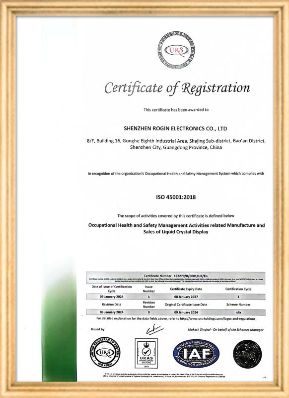 ISO 45001 - Shenzhen Rogin Electronics Co., Ltd.