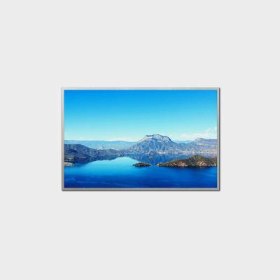 China 10.1 inch High Brirghtness LCD Display 1280*800 LVDS 1000nits for sale