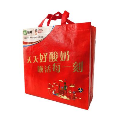 Cina Cheap 30 GSM PP Non Woven Polypropylene Shopping Bag in vendita