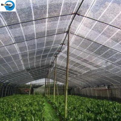 China New HDPE Agriculture Greenhouse Garden Black Plastic 70% Sunshade Netting, Vegetable Greenhouse Dark Green Sunshade Net Te koop