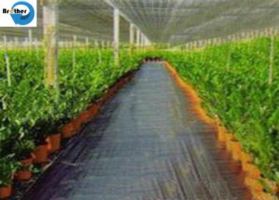 China Black/Green/White PP/PE/Plastic Woven Weed Control Geotextile/Fabric for Agriculture/Garden/Landscape for sale