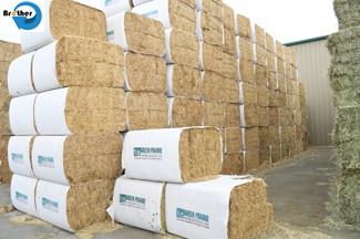 中国 Mini Round Hay Bale Wrapper for Sale,Wear Resisting Hay Bale Sleeves Woven Polypropylene Cloth BOPP Film 販売のため