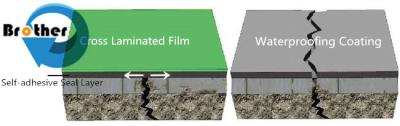 Cina SDM Strength Films/Cross-Laminated Films/Strength Films in vendita