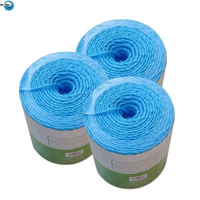 中国 Factory Direct Sale Uv-treated Polypropylene Baler Twine Square Baler Twine Hay Baler Twine 販売のため