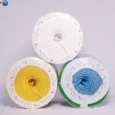 China plastic pp twine spool/ agricultural pp baler twine en venta