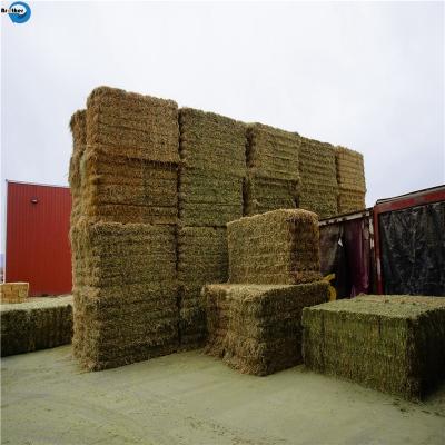 中国 Wholesale Plastic PP Hay Baler Rope 100% Polypropylene Baler Twine For Sale 販売のため