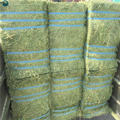 China High Quality White/Blue/Colorious PP/PE Tensile Strength Strapping Rope for Loading and Unloading en venta