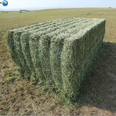 중국 High Quality PP Twine Manufacture Baler Twine For Agriculture In China 판매용