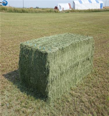 中国 Agriculture PP/ PE Packaging Baler Twine 販売のため