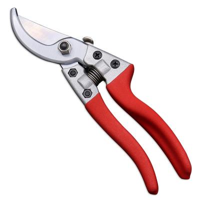 China High Carbon Steel Garden Craft Tools Bundle Pruning Plastic Zinc Alloy Scissors Sharp Beak Pruner WY-A0010 for sale