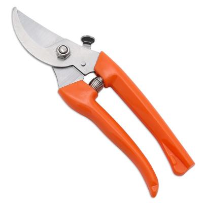 China Gardening Saving Branches C5 Stainless Steel Fruit Tree Pruning Scissors Pruning Scissors Garden Home Labor Pruning Branches for sale