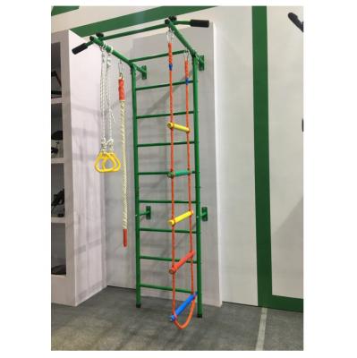 China Wall Mounted 220lb Home Indoor Playground For Kids Swedish Wall Gym Set XK-029A for sale