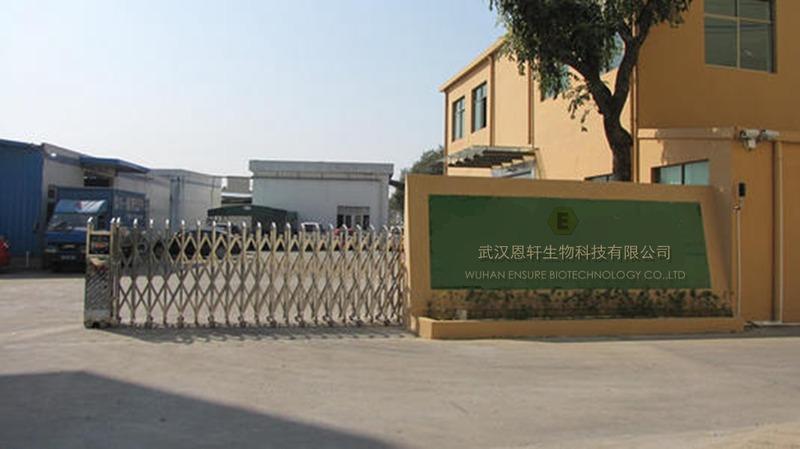 Verified China supplier - Wuhan Ensure Biotechnology Co., Ltd.