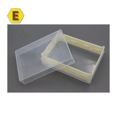 China Detachable Bee Farm Honey Cassette 250g Comb Honey Box Comb Honey Cassettes for sale