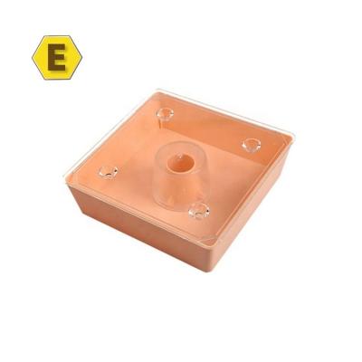 China European Style Farms Portable Plastic Square Non-Toxic Bee Feeder In Top Hive Bee Feeder For Nuc Box for sale