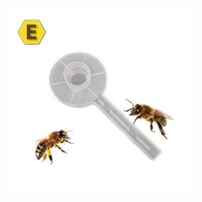 China Multifunctional Water Plastic Drinker Feeder Bee Farm Food Grade Entry Beekeeping Tools for sale