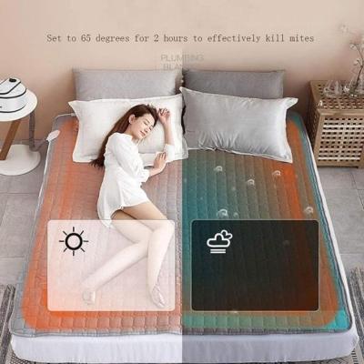 China New Electric Blanket Heated Water Heated Mattress Pad Water Circulation Heating Mattress for sale