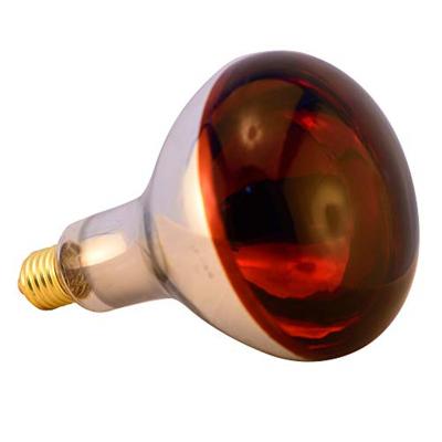 China 2020 New Item RTS Brass Ready to Ship 110 Volt 100 Watt Roasted Red Glass Infrared Heat Lamp for Chick Cage for sale