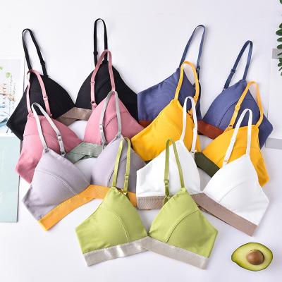 China 2022 QUICK DRY triangle bras for women padded bra removable comfort bra wireless cotton padded underwear female sexy lingerie for sale