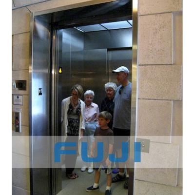 China Residential Lifts FUJI 320kg Home Lift Elevator Price for sale