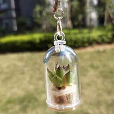 China CLASSIC Wholesale Cheap Mini Pet Factory Keychain Pet Tree Key Ring for sale