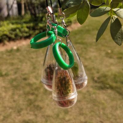 China CLASSIC Over 2 Months Mini Cactus Pet Plant Key Chain In Raindrop Shape Tube for sale