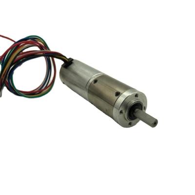 Cina Dimensione 28 mm Brushless DC Planetary Gear Motor 10RPM-1000RPM in vendita