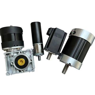 China Größe 30mm-110mm Leistung 10w-2000w Anpassbar Bürstenlos PM Elektrischer Dc Motor CE RoHS 12vdc 24vdc 36vdc 48vdc zu verkaufen