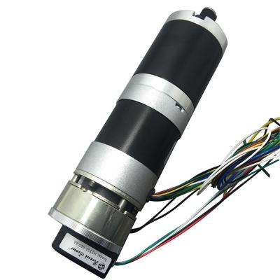 Cina Custom12v 24v 36v 48v High Torque DC Gear Motor Spazzolato o senza spazzola 50 watt 100 watt 200 watt 300 watt 400 watt in vendita