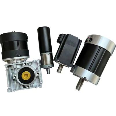 Cina Dimensione 28mm-130mm Motore DC elettrico senza spazzole Potenza personalizzabile 15w 50w 100w 500w fino a 2000w 12v 24v 36v 48v fino a 320vdc in vendita