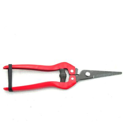 China Anti-Slip Handle China Factory Plant Fruit Picking Mini Flower Shears Bypass Pruner Attrezi Bonsai for sale