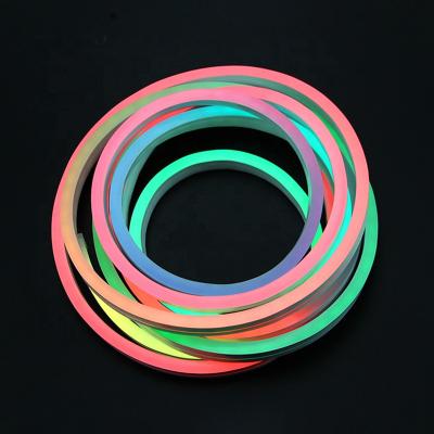 China Project Application 220 Volt Colorful Silicone Flexible Waterproof Neon Led Strip Lights Remote Control for sale