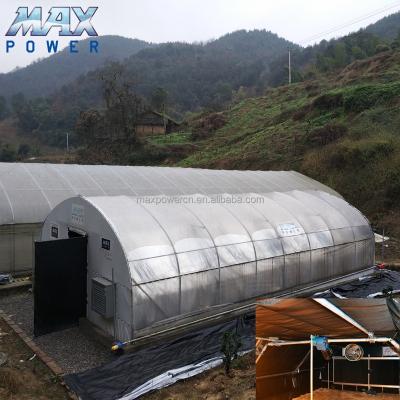 China Medical Plantation For USA 100% Automatic Blackout Light Dep Greenhouse for sale