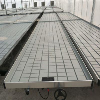 China Galvanized Steel Greenhouse Seed Bed Ebb and Flow Table Rolling Flood Bench for sale