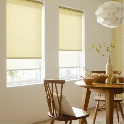 China Factory sale good quality hot manual roller blind CLASSIC in home in office zebra roller blinds for sale