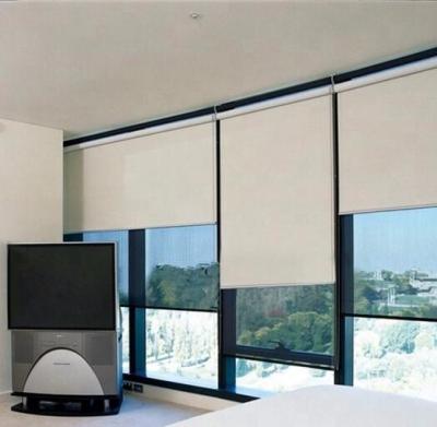 China 2021 eclectic new popular motorized window ties good quality motorized roller blinds for sale